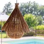La Palazzetta Di Farm stay