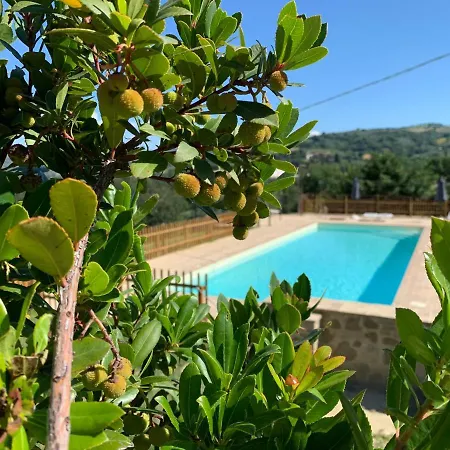 Farm stay La Palazzetta Di *