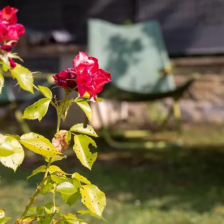 팜스테이 La Palazzetta Di 아시시