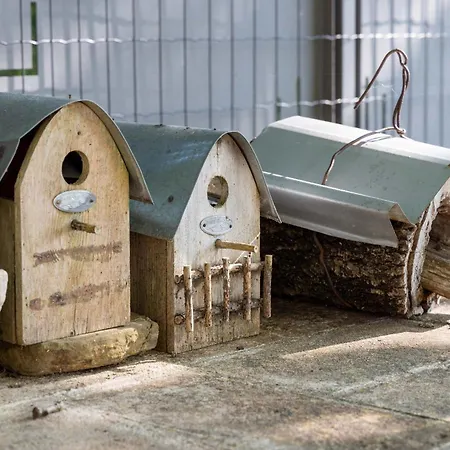 La Palazzetta Di 아시시