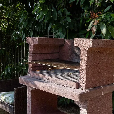 Agroturismo La Palazzetta Di *