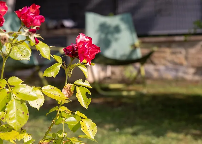 Alojamento de Turismo Rural La Palazzetta Di Assisi