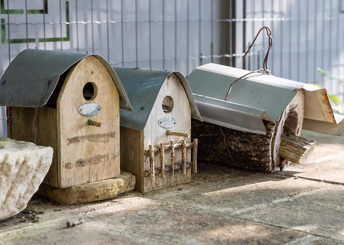 La Palazzetta Di Assisi