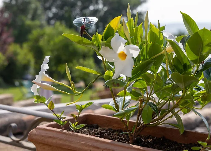La Palazzetta Di Alojamento de Turismo Rural Assisi