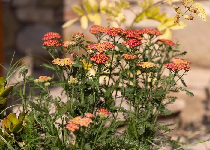 La Palazzetta Di * Assisi
